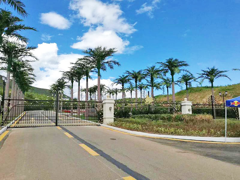 潮州仿真树